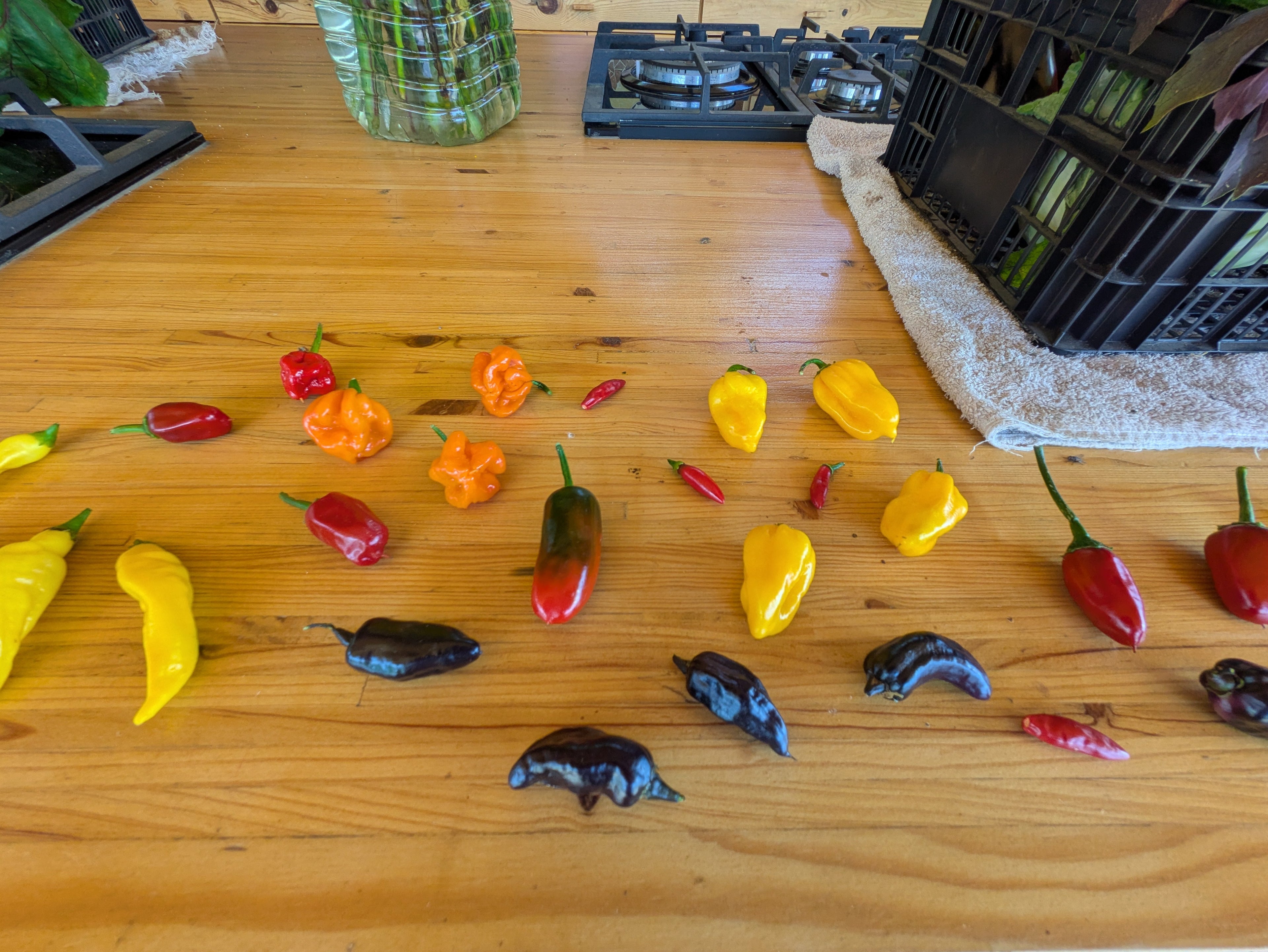 Peppers