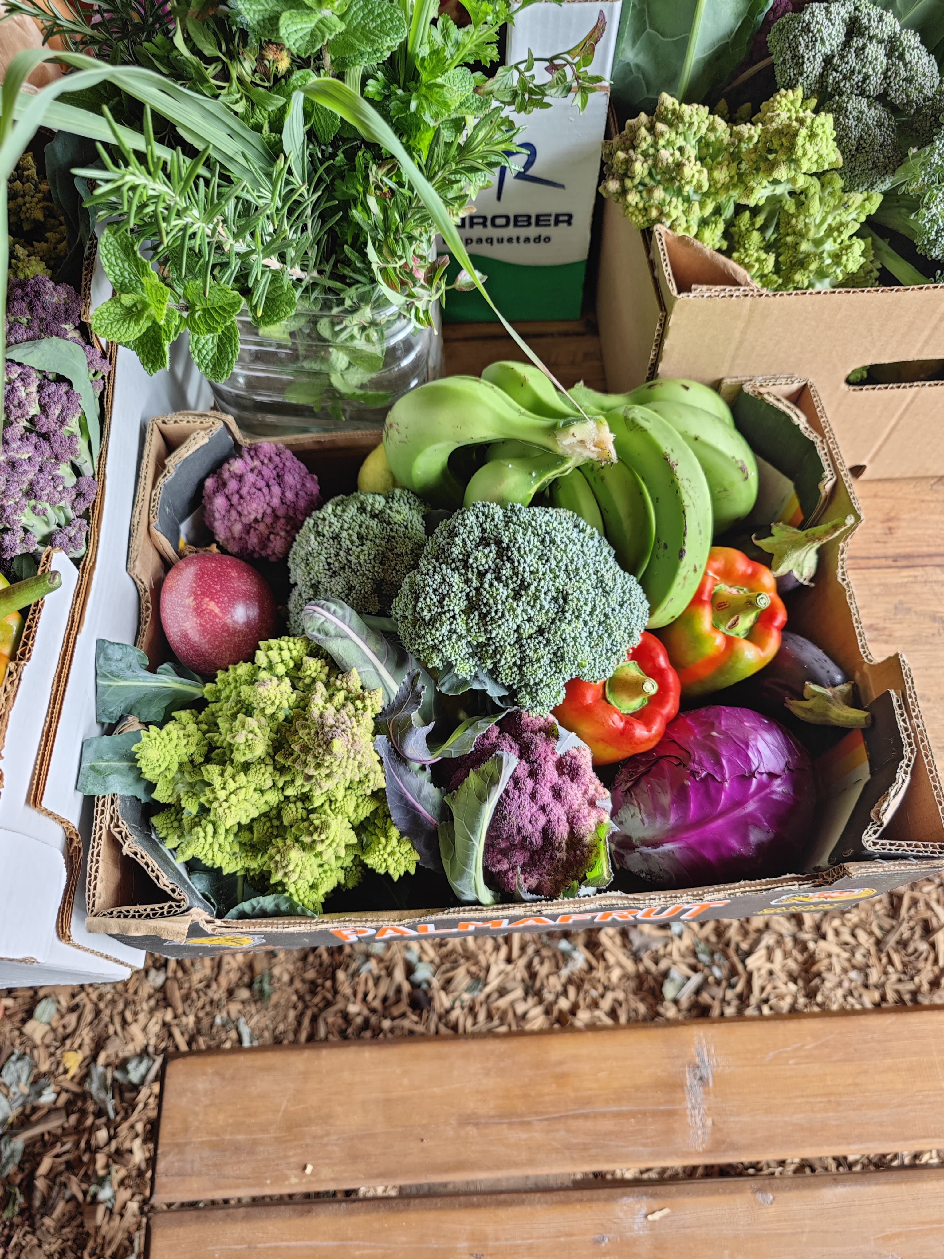 Seasonal mixed Boxes