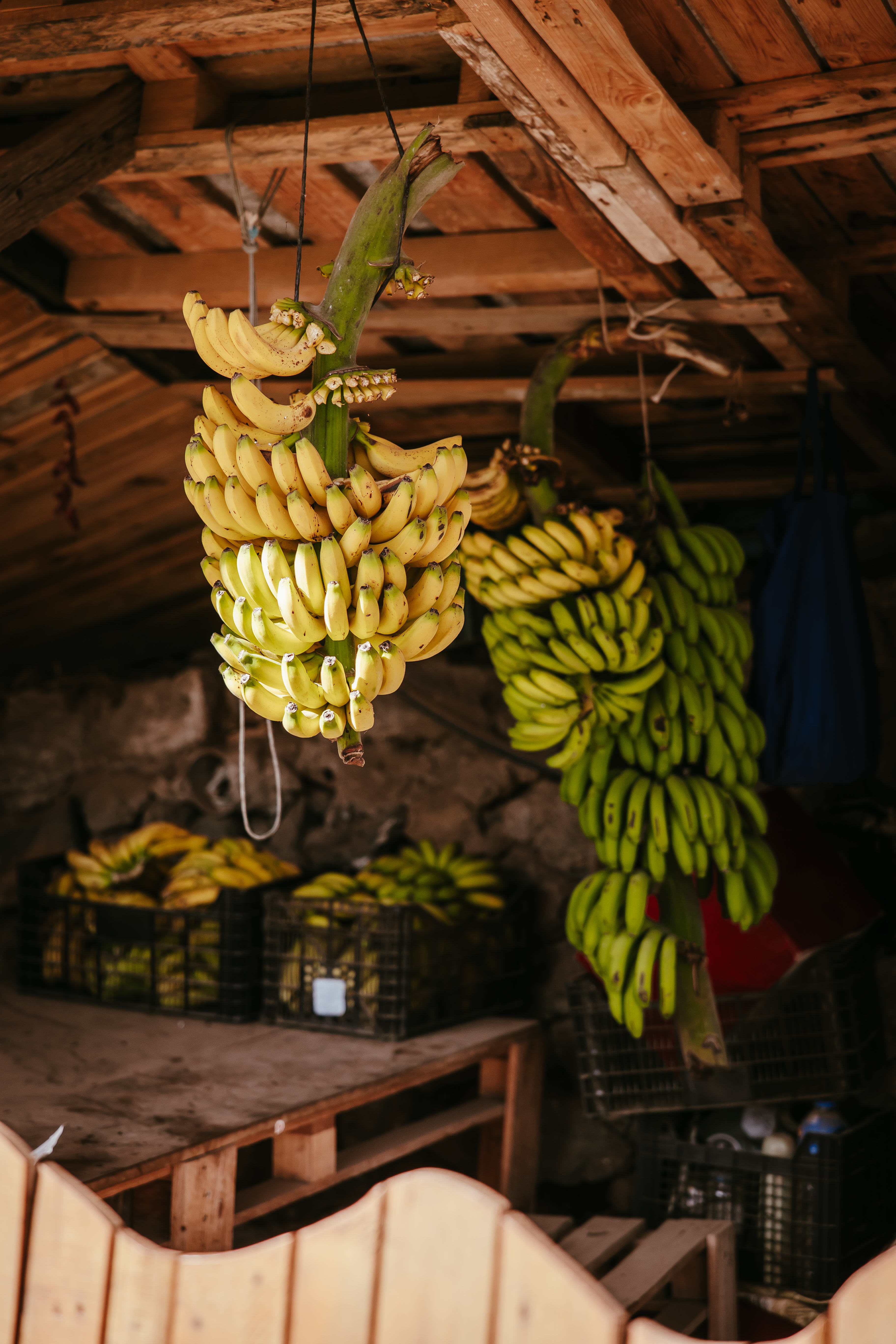 Banana (kg)