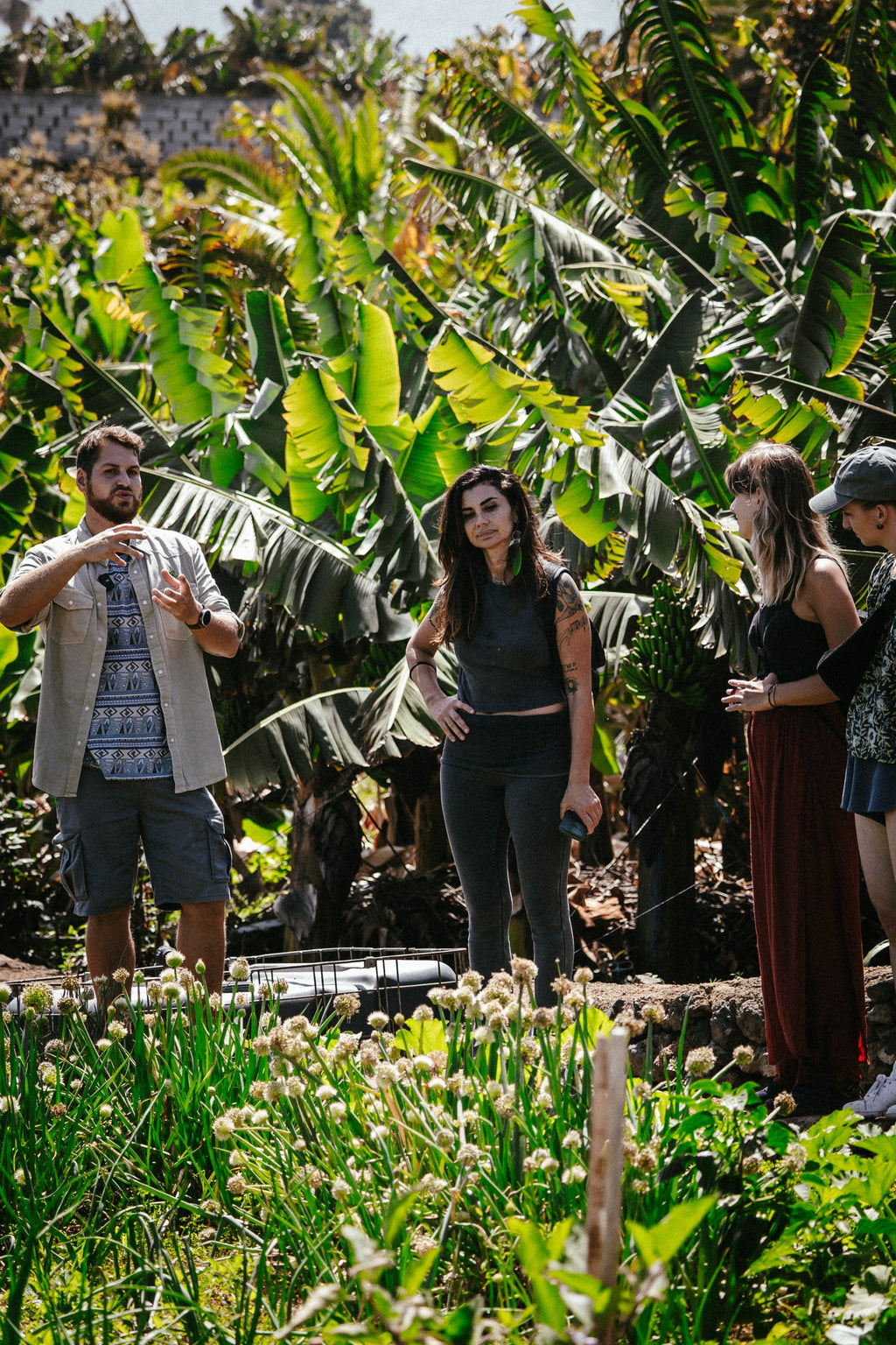 Discover Tenerife's Hidden Tropical Oasis - Private Groups [EN,DE, ES, IT]