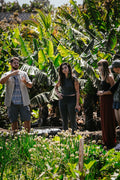 Entdecke Teneriffas versteckte regenerative Oase [deutsch]