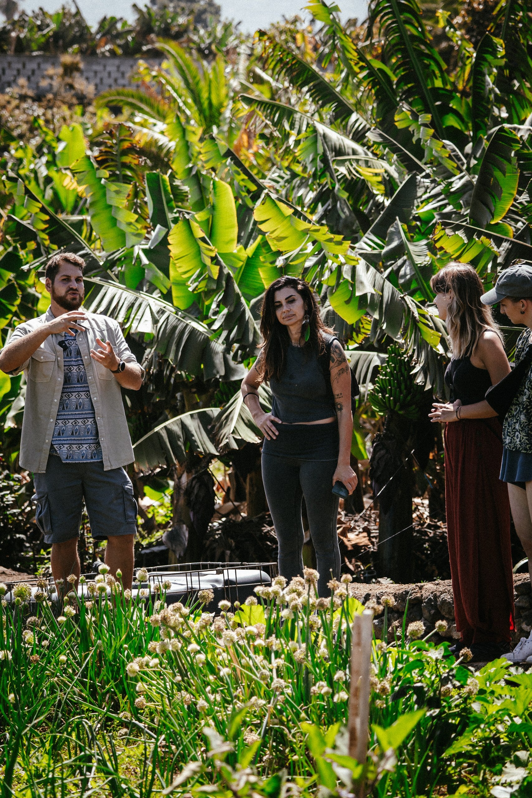 Discover Tenerife's Hidden Tropical Oasis - Private Groups [EN,DE, ES, IT]