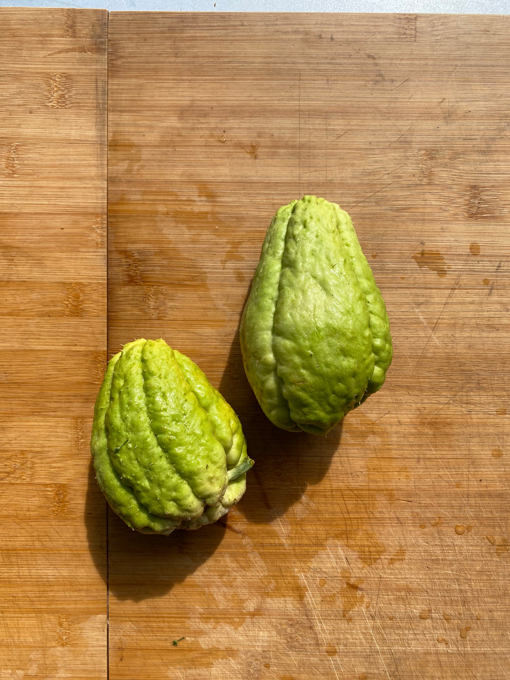 chayote