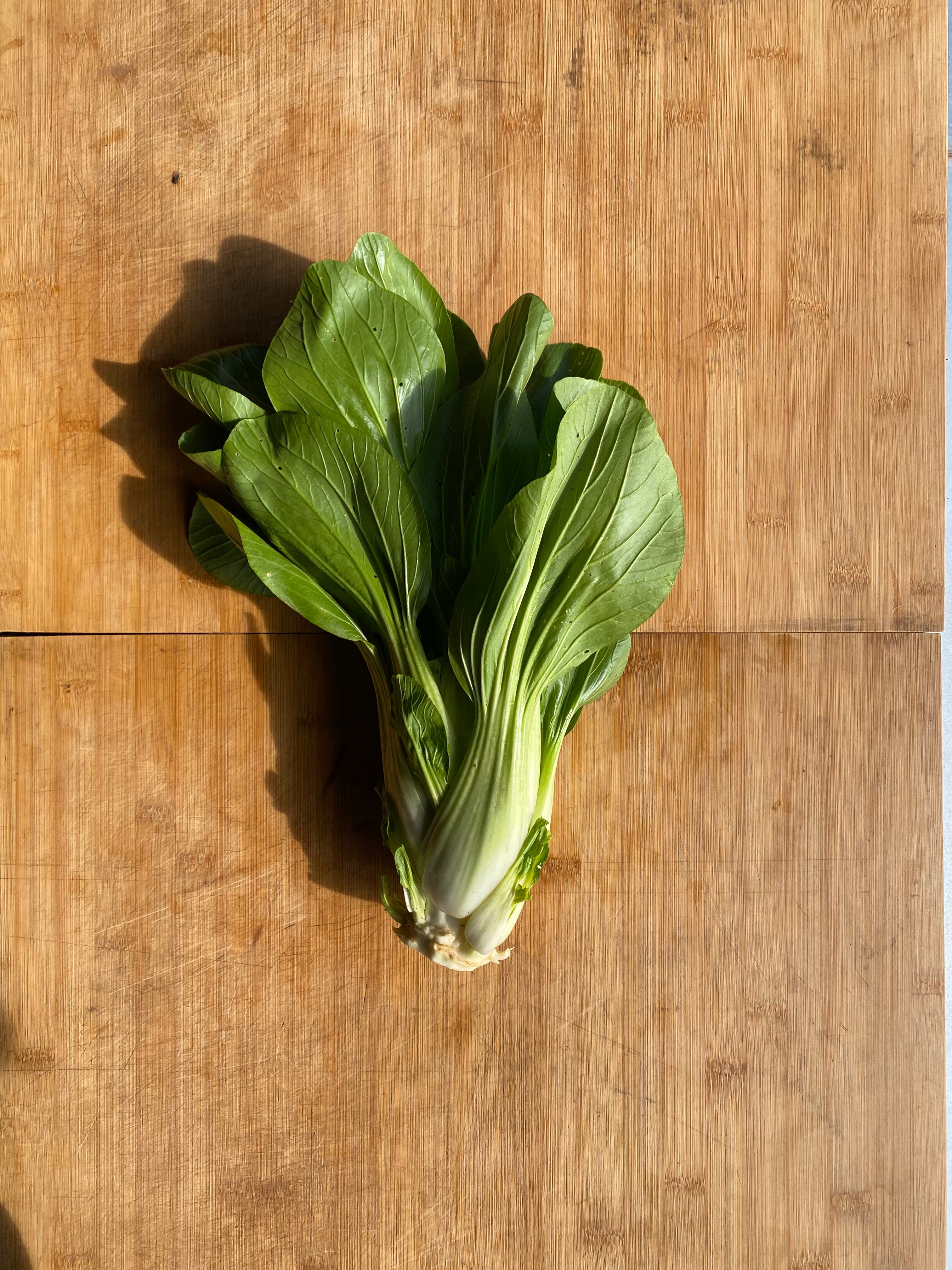 Pack Choy