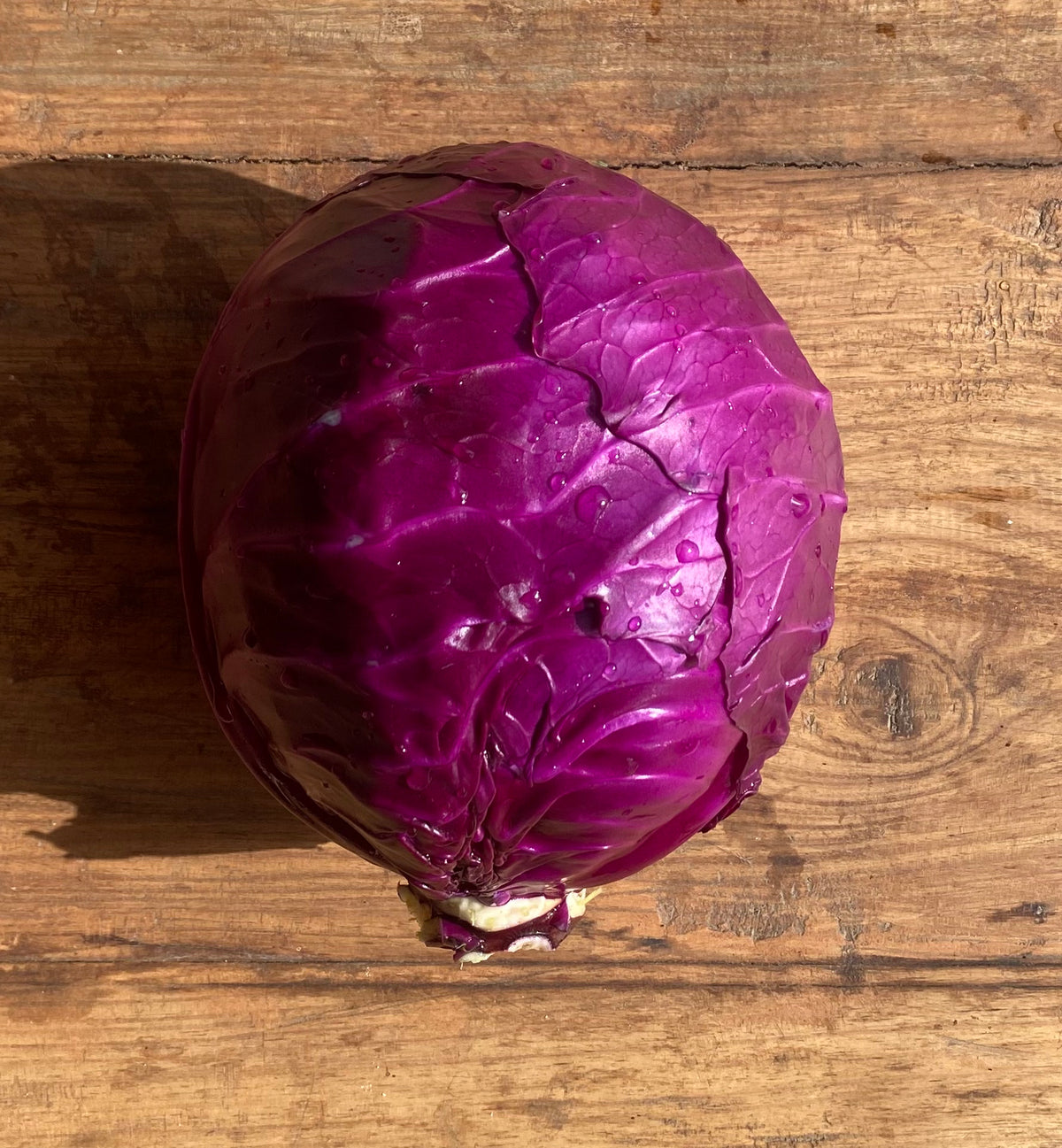 Red cabbage (kg)