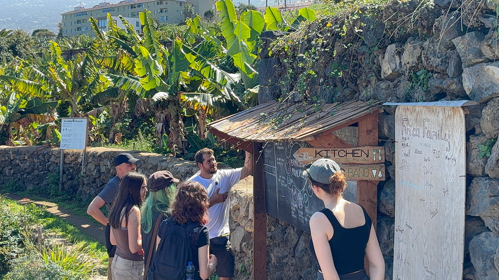 Discover Tenerife's Hidden Tropical Oasis [English]
