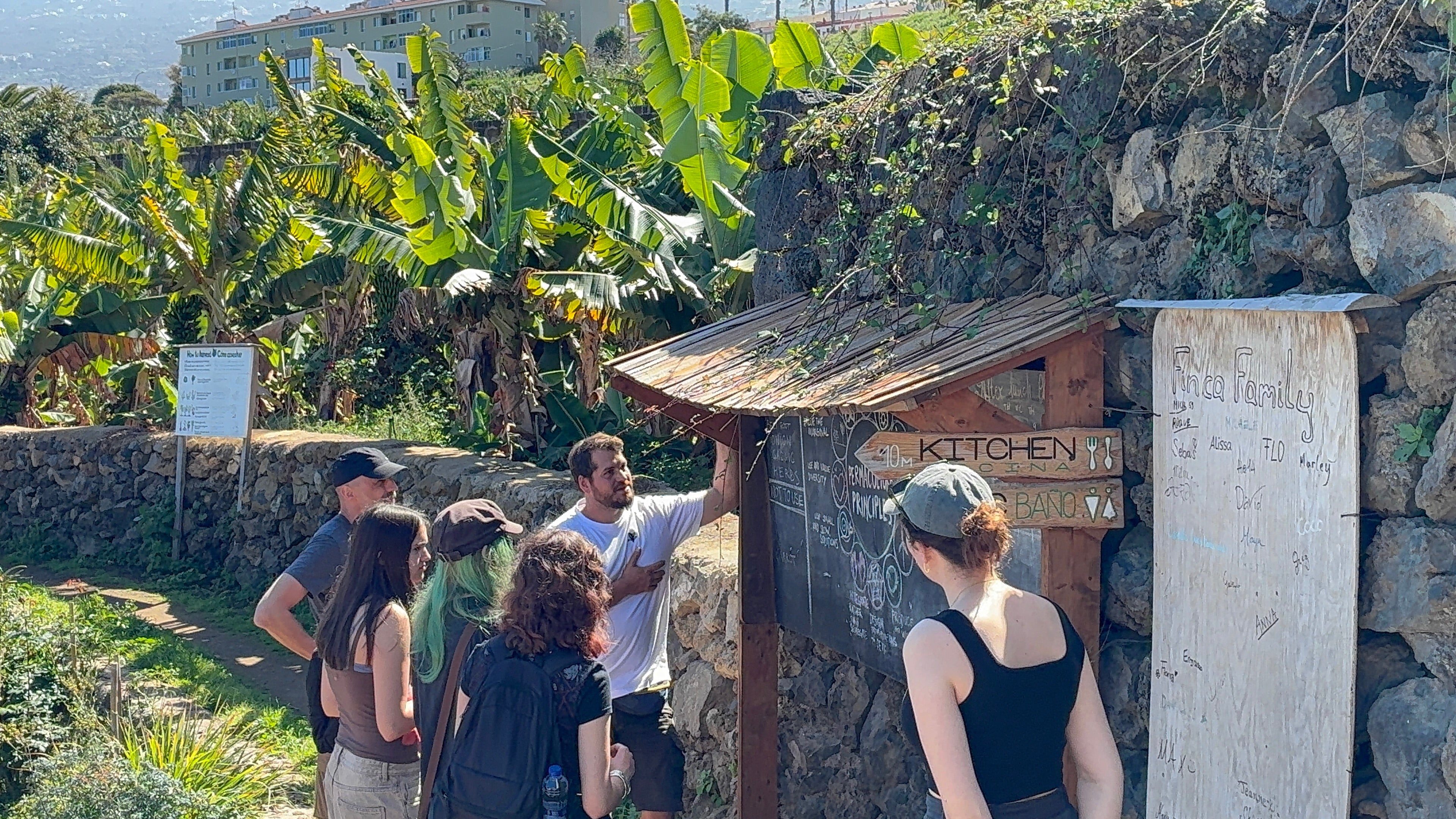 Discover Tenerife's Hidden Tropical Oasis [English]