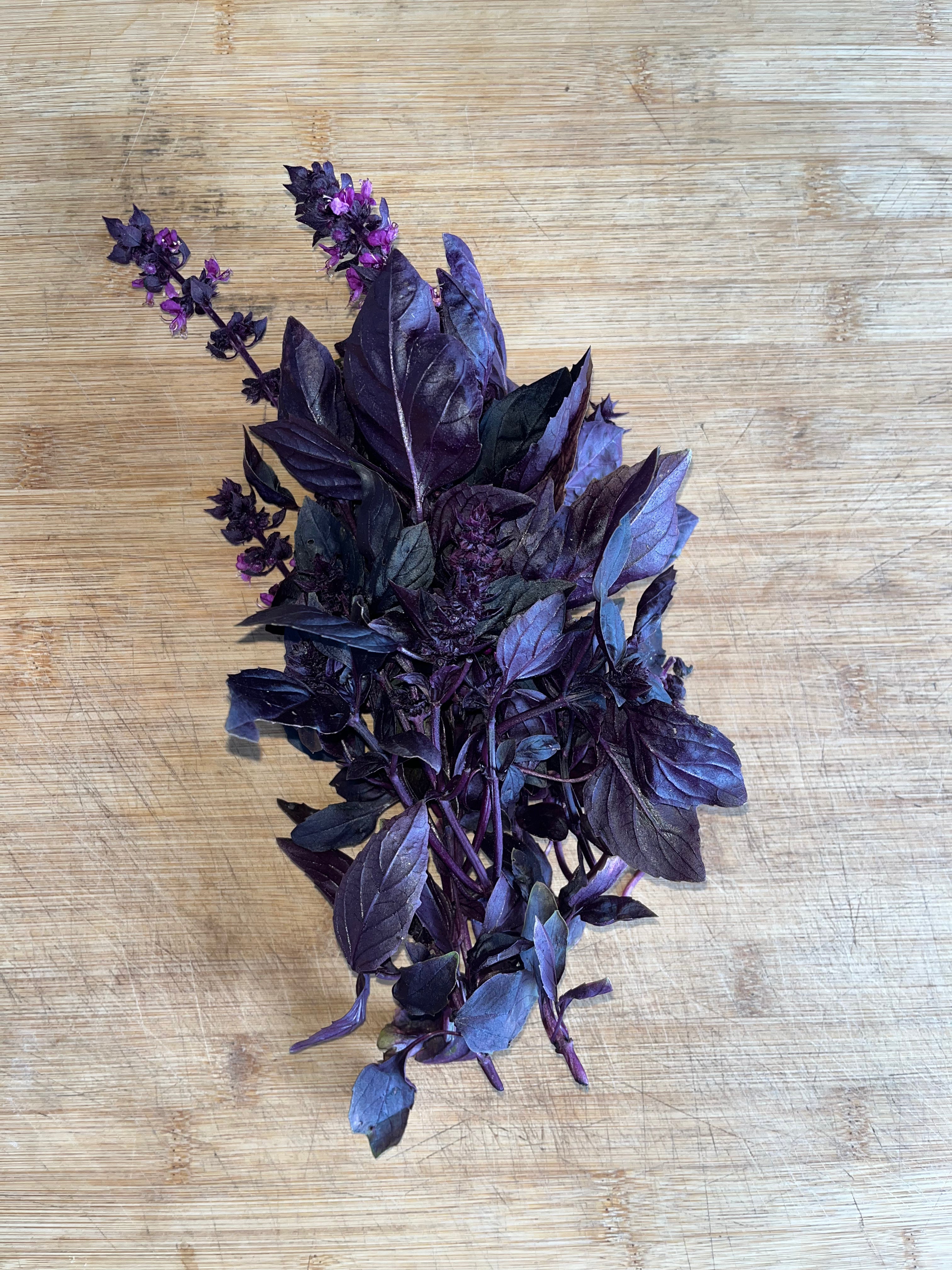 Purple basil (bunch)