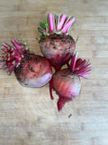 Beetroot rainbow (kg)