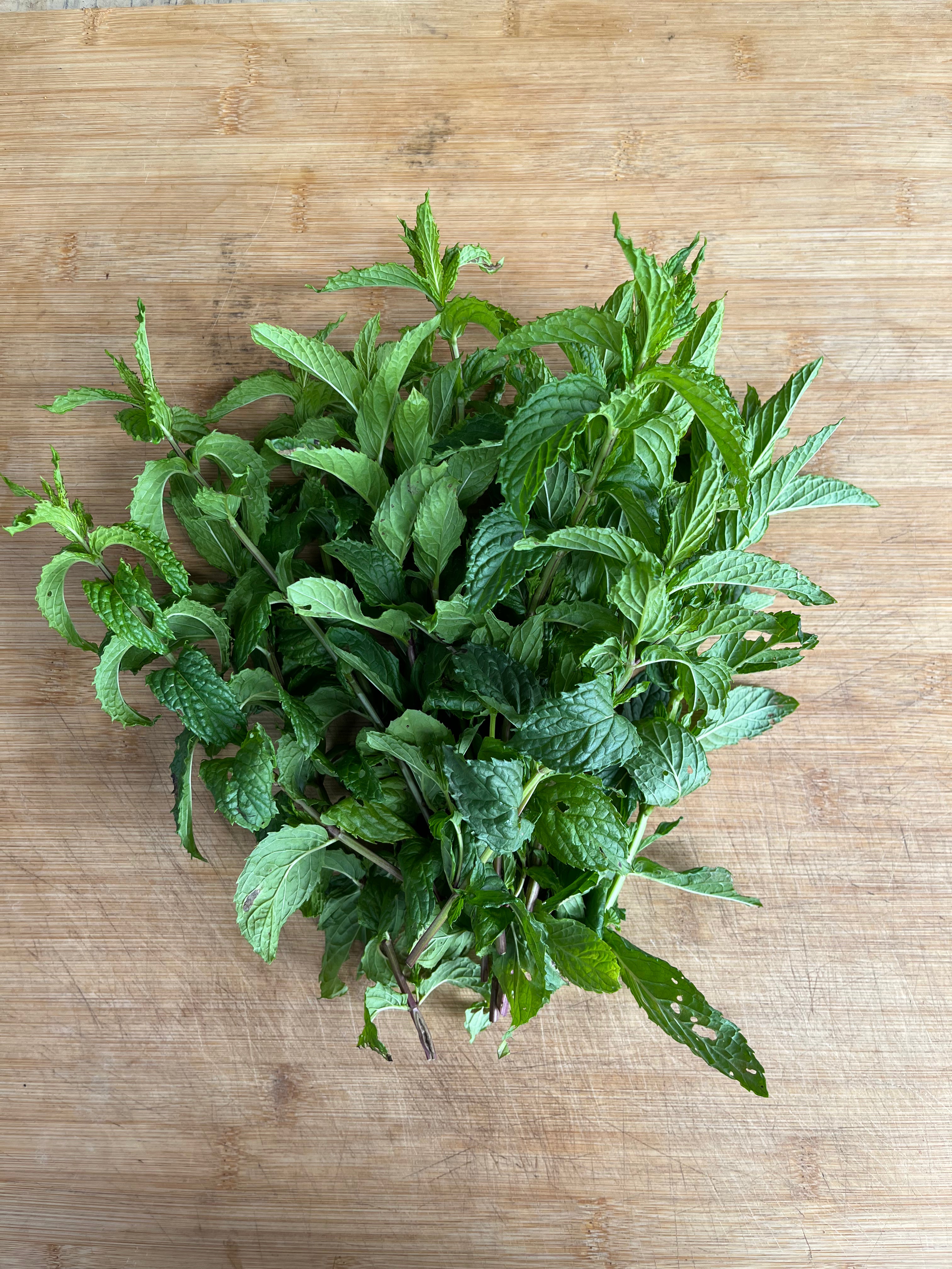 Mint (bunch)