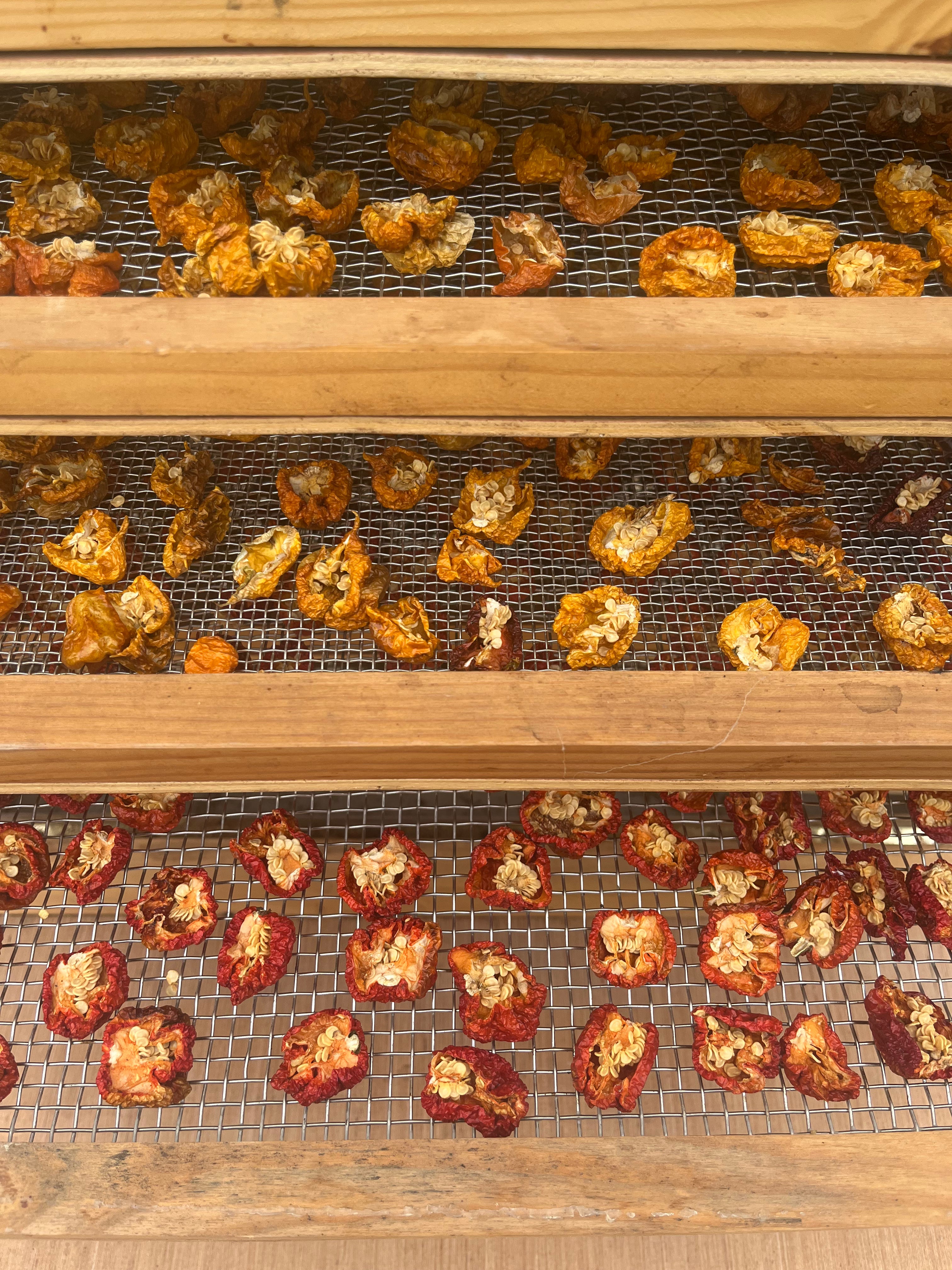 Chiles variados seco (3 x units)