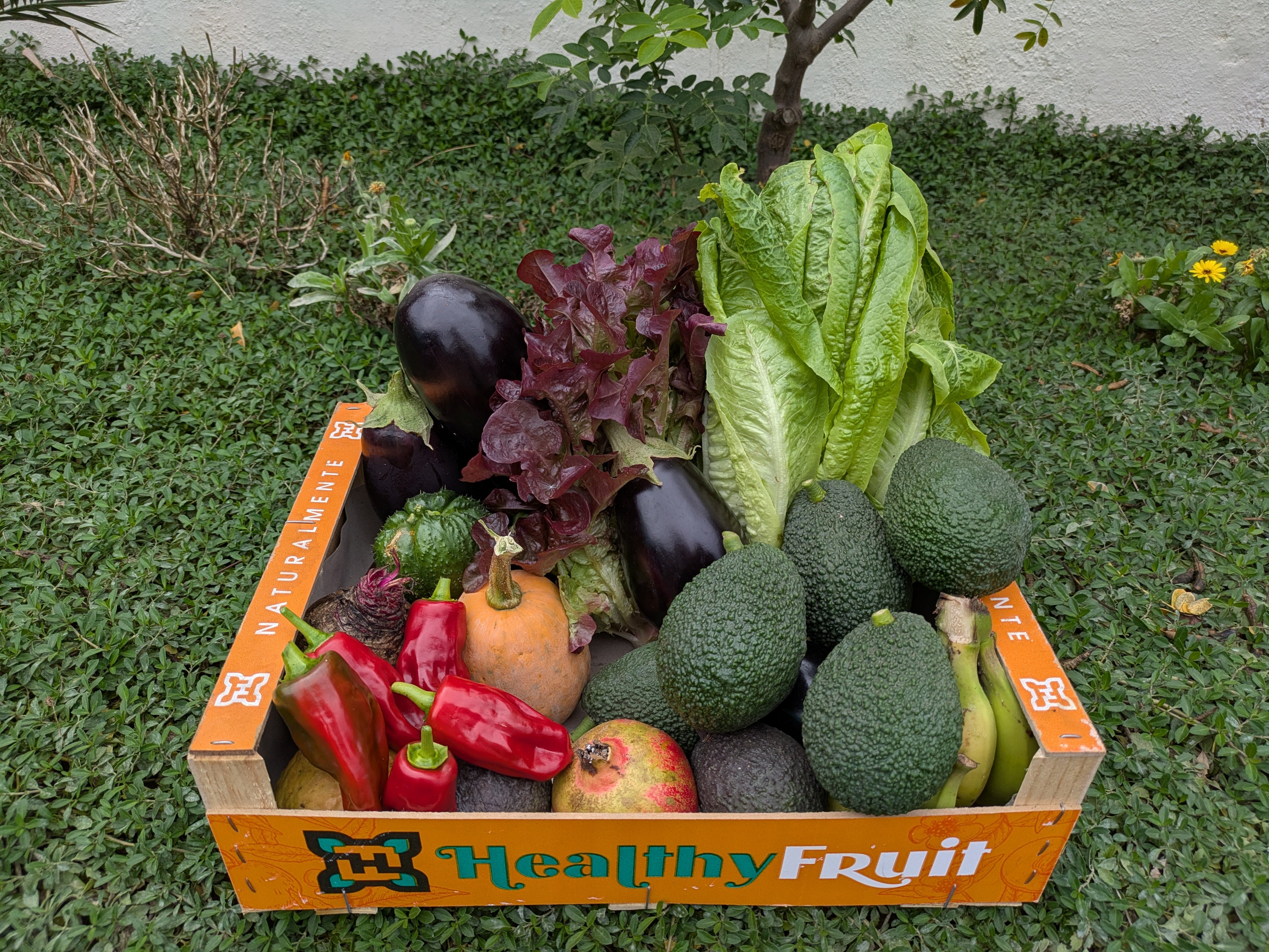 Seasonal Veggi + Fruit Box M (4,5Kg)