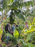 Discover Tenerife's Hidden Tropical Oasis - Private Groups [EN,DE, ES, IT]