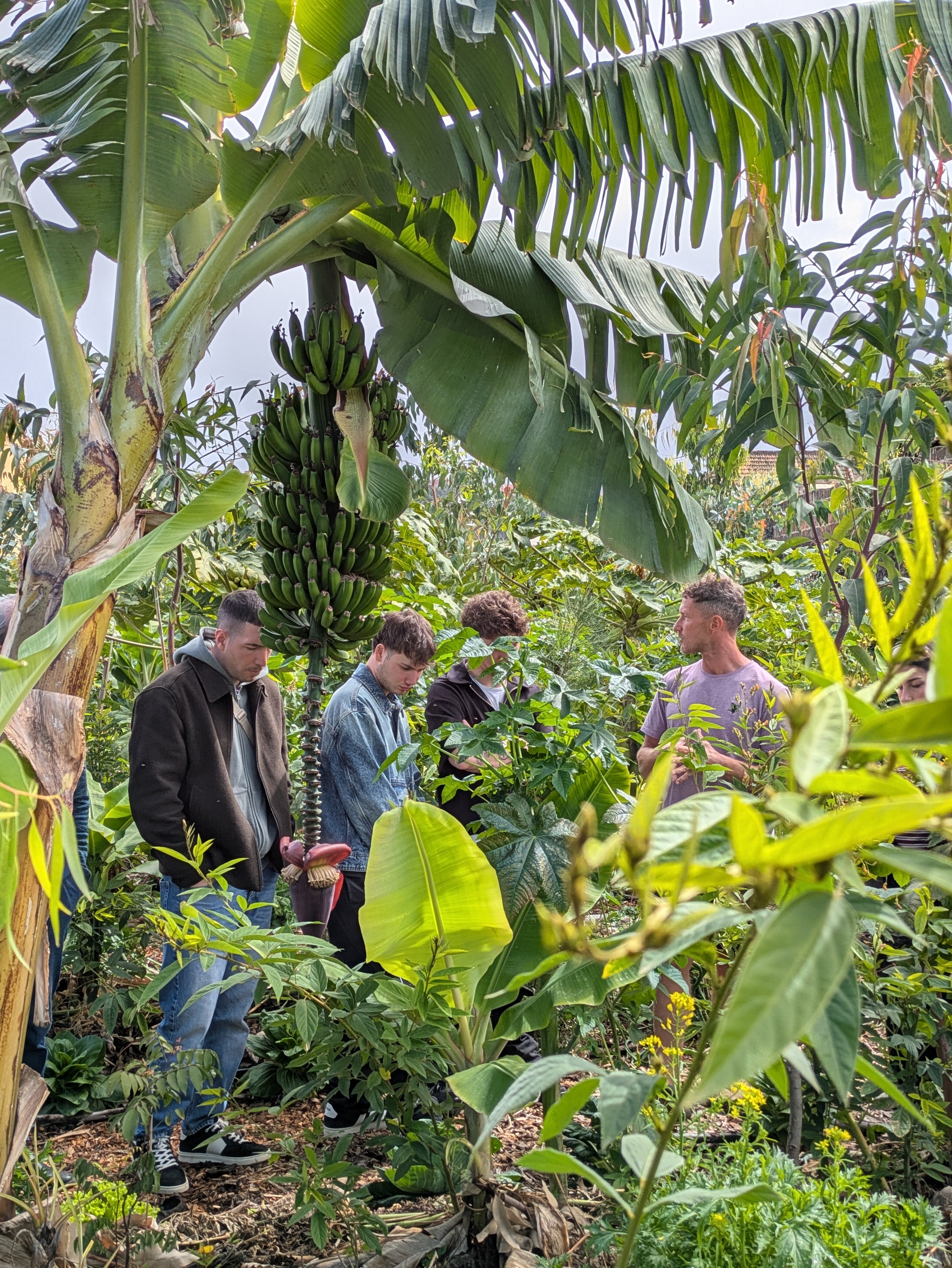 Discover Tenerife's Hidden Tropical Oasis - Private Groups [EN,DE, ES, IT]