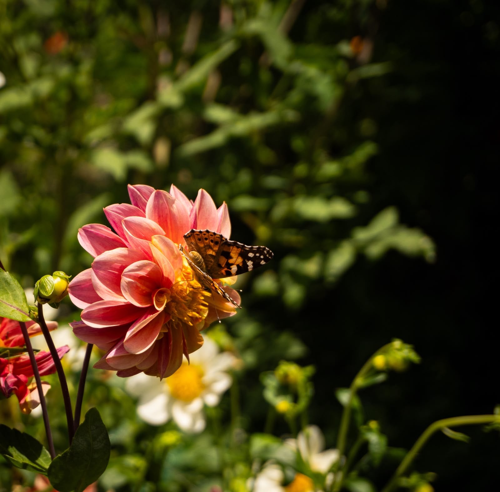 Kräuter Garten Tour (deutsch)