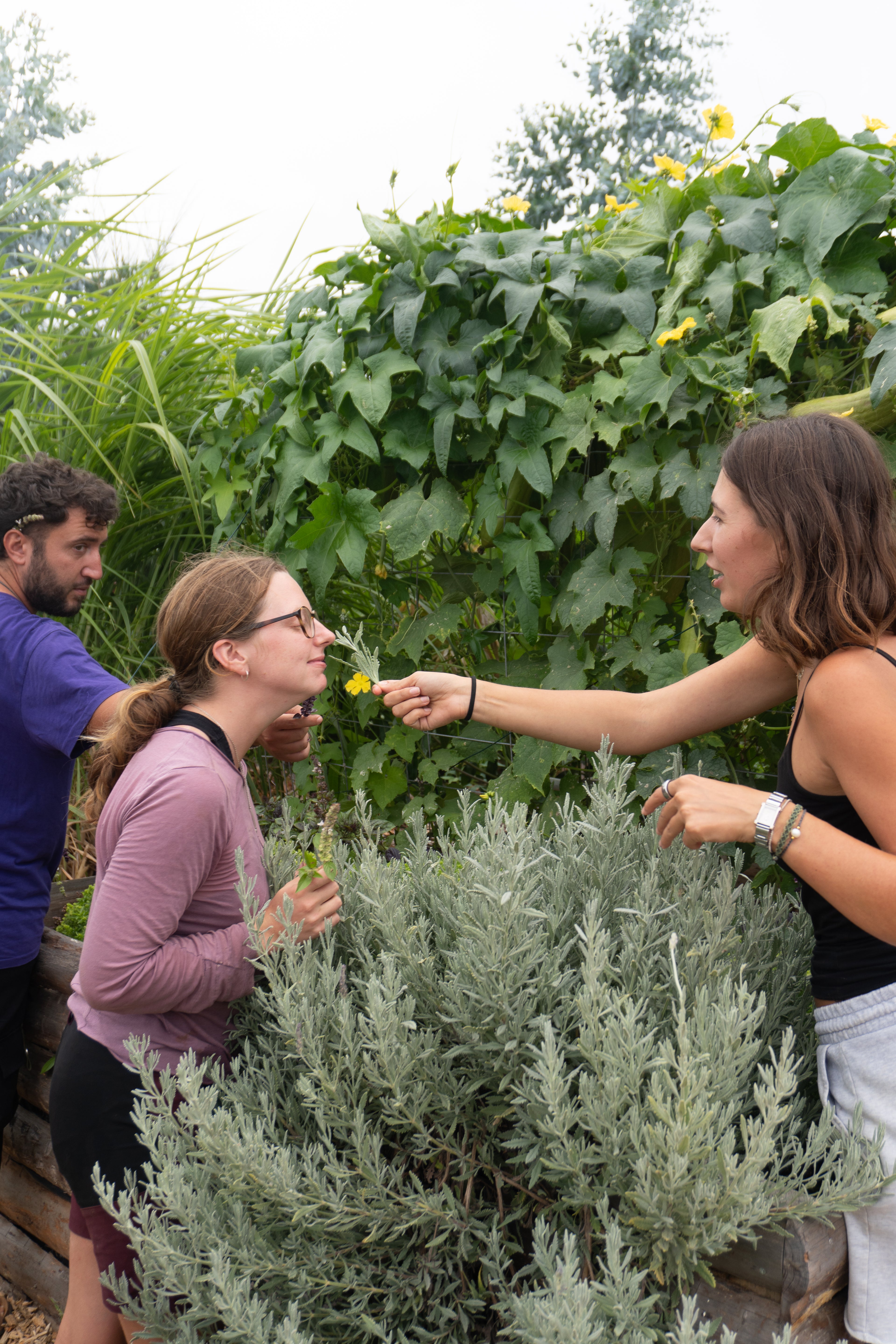Kräuter Garten Tour (deutsch)