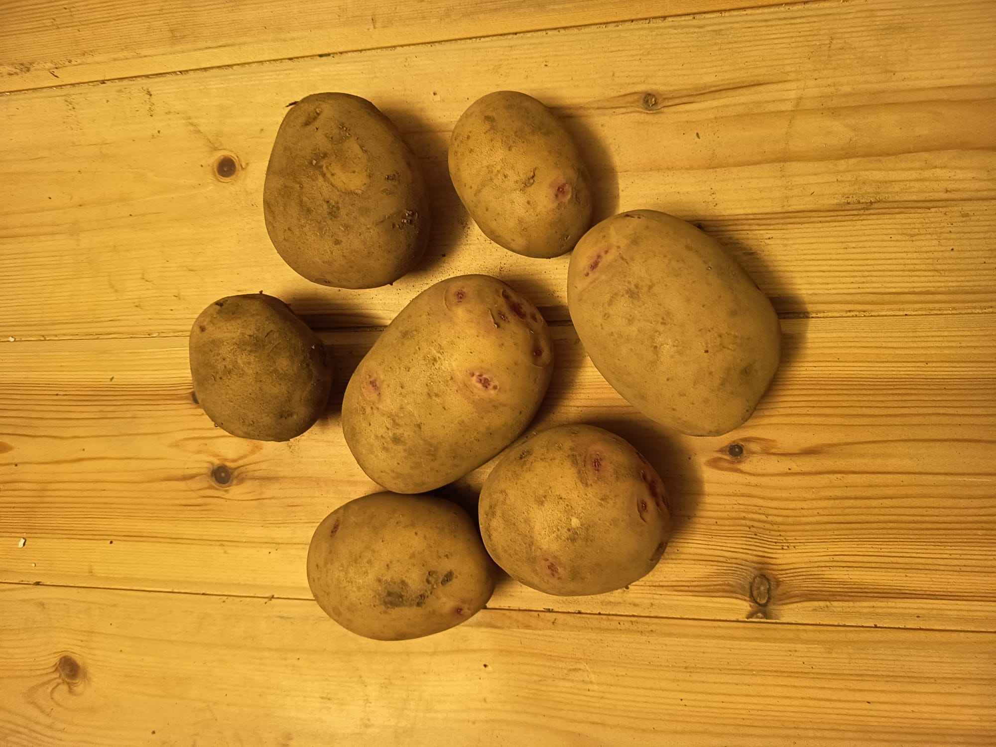 Potatoes - Cara Blanca