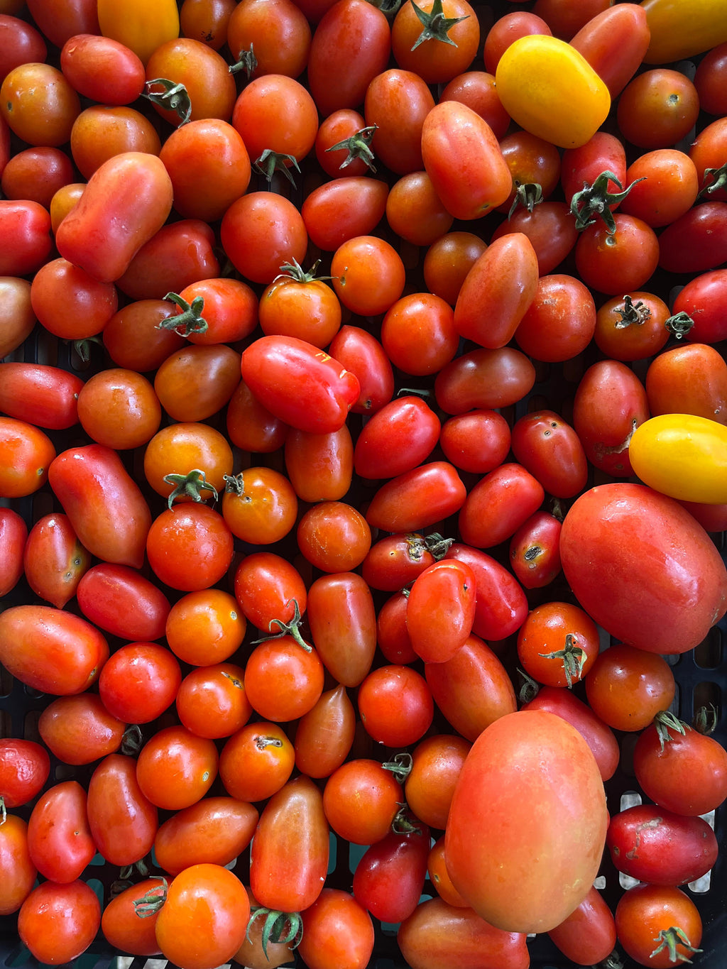 cherry tomatoes (250g)