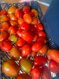 tomatoes (kg)