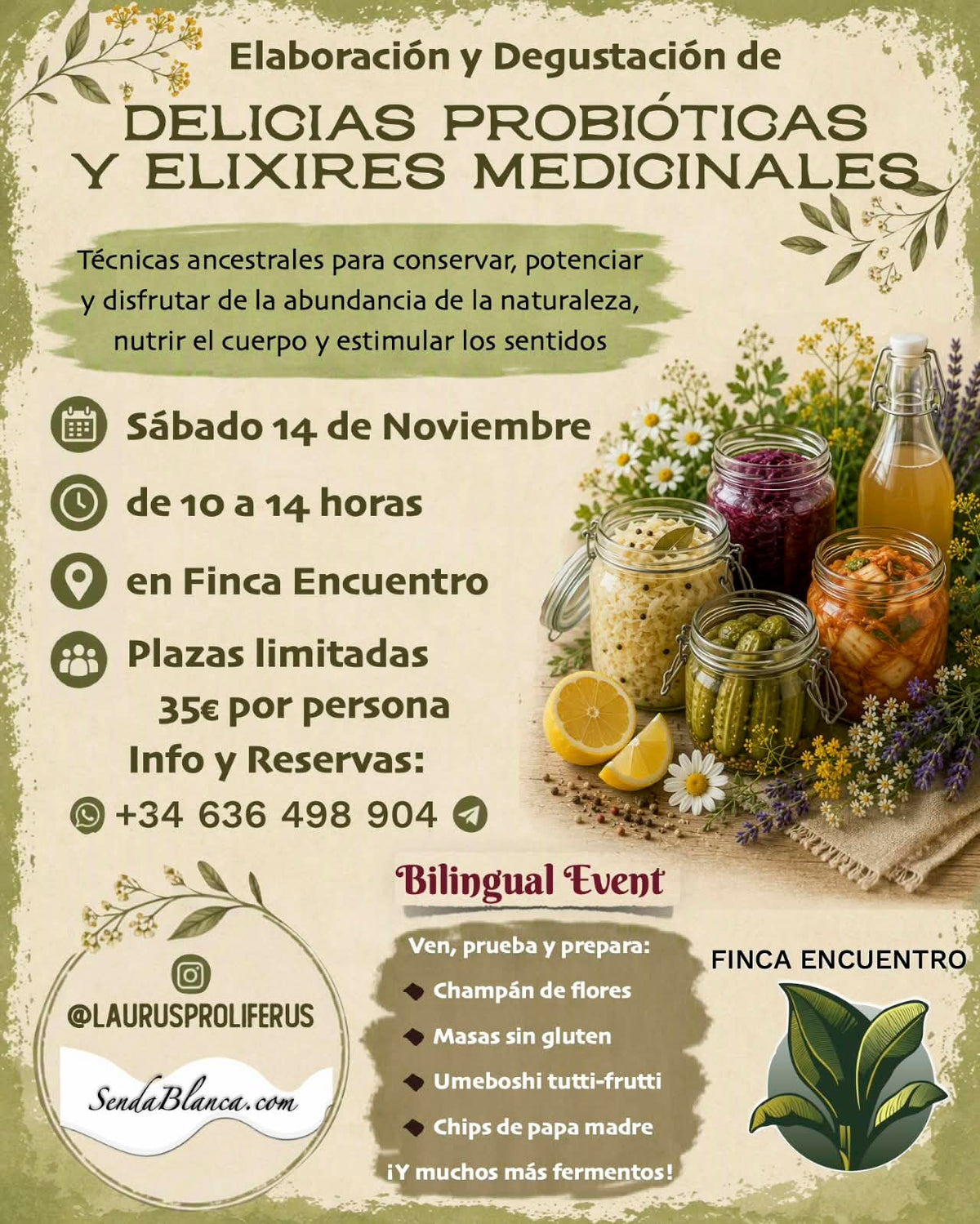 [ES] Delicias Probióticas y Elixires Medicinales       -       [EN] Probiotic Delights & Healing Elixirs