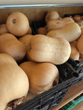 Pumpkin (kg)