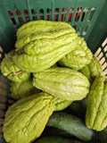 chayote