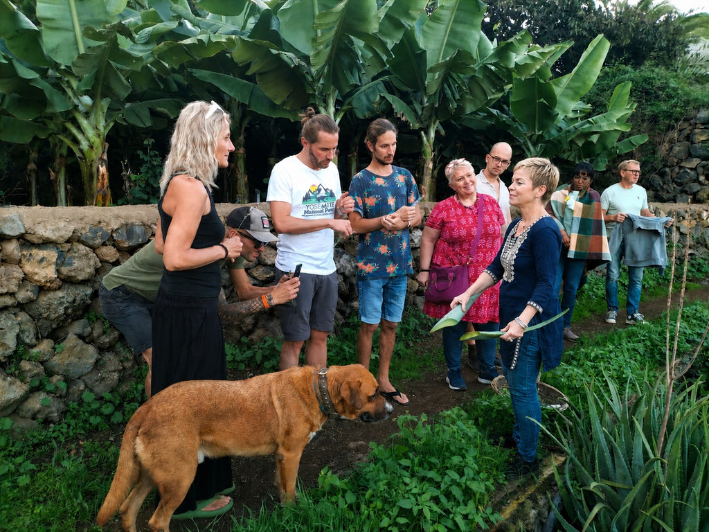 Herbal Garden Tour (english)